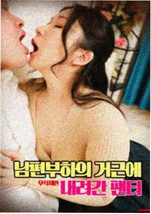 夜蒲系列重映场次增加